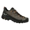 Salewa "Alp Trainer 2 GTX M" - Bungee Cord -Outdoor Ausrüstungsgeschäft 2450c9ed 3586 482a be64 b7cbf8e9c4bb salewa