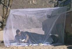 Brettschneider "Fine Mesh Box I"