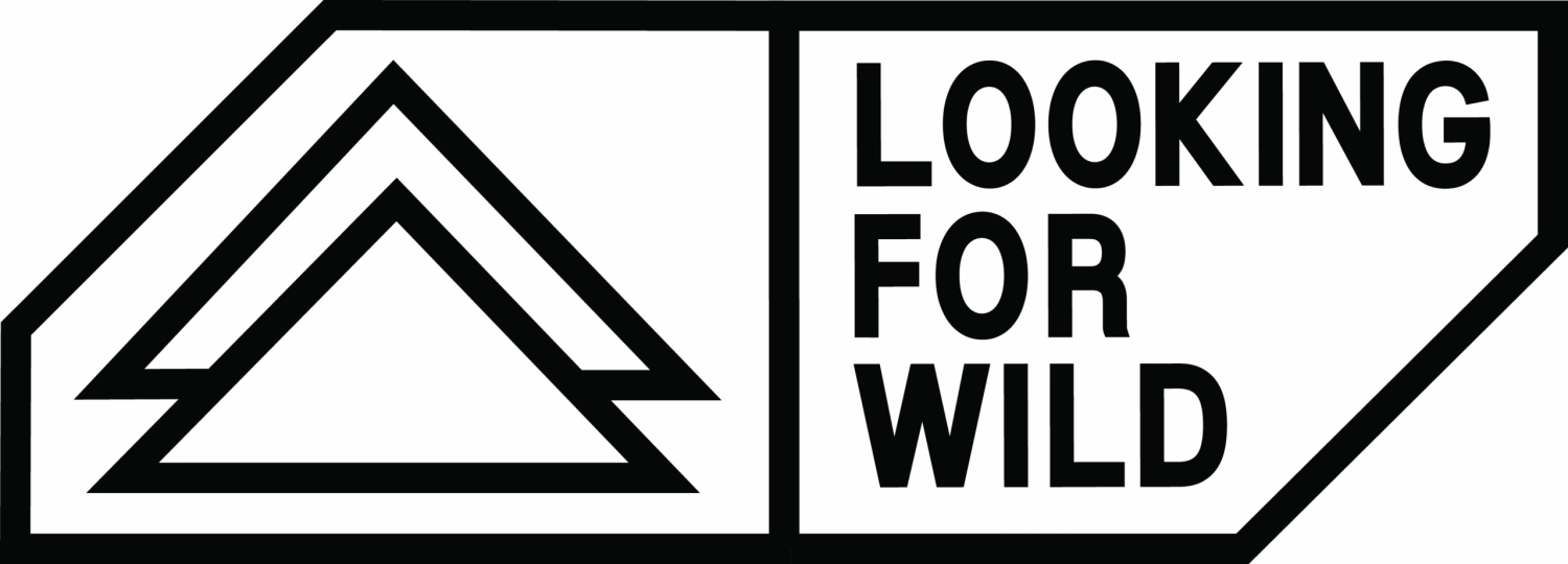 Looking For Wild "Laila Peak" - Black 5 Looking For Wild "Laila Peak" - Black – Bild 3