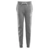 Aclima "Fleecewool Joggers Woman" - Grey